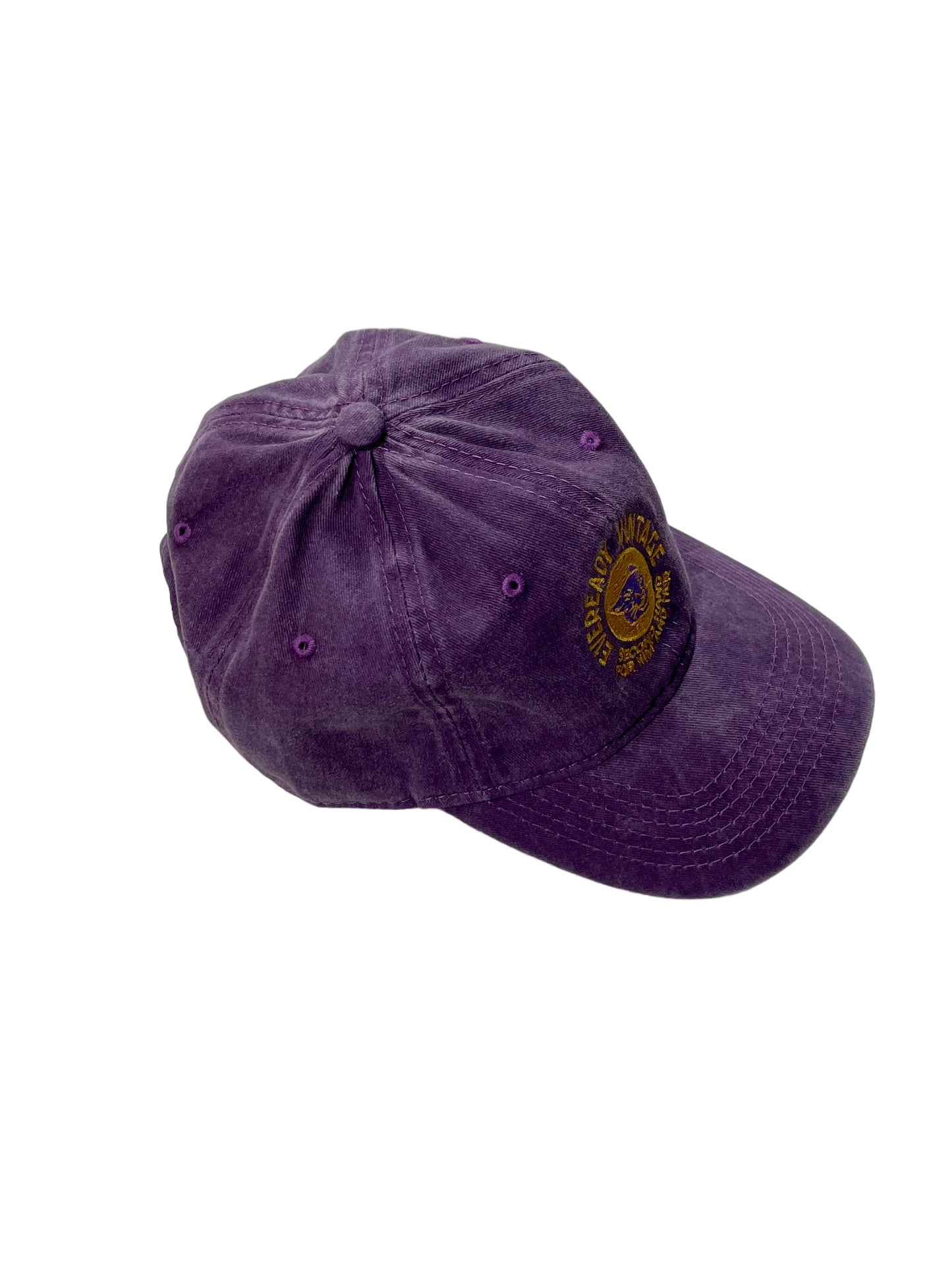 E.V. Purple/Gold Fader "Ball Cap" #1