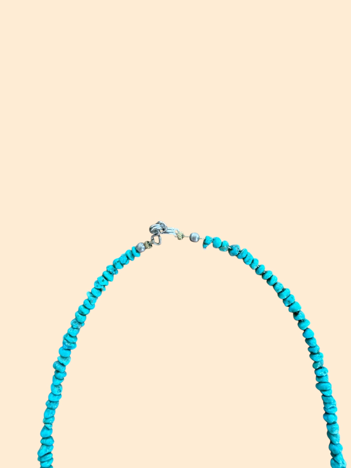 1960's Turquoise Birdy Necklace