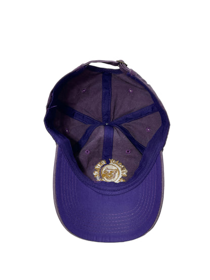 E.V. Purple/Gold Fader "Ball Cap" #1